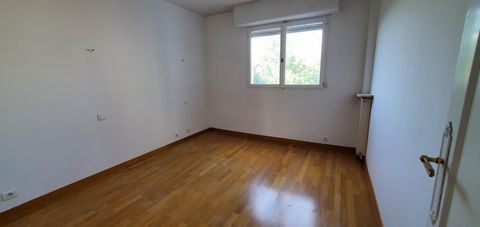 photo no. 2