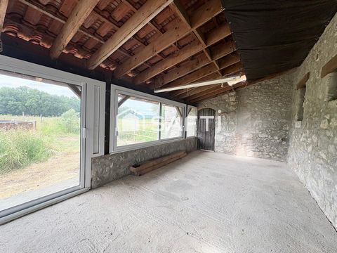 photo no. 6