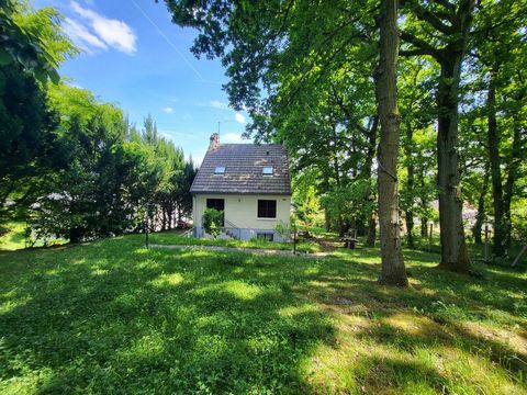 Maison familiale sur terrain arboré en centre ville