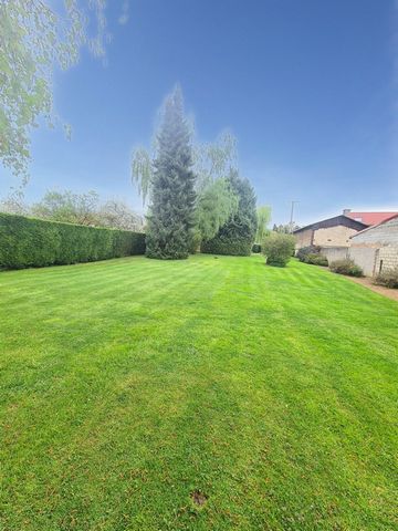 photo no. 12