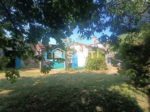 photo no. 18