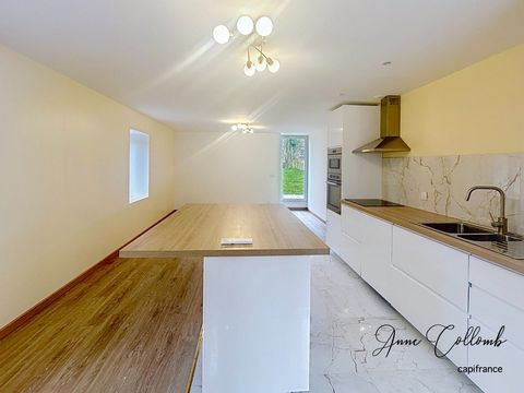 Maison 217 m2 à vendre SAINT-PAUL-EN_CHABLAIS entièrement rénovée avec cachet et modernité
