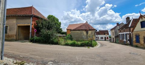 photo no. 7
