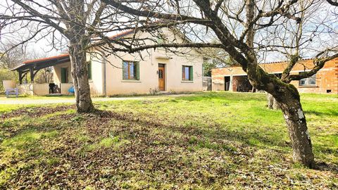 photo no. 13