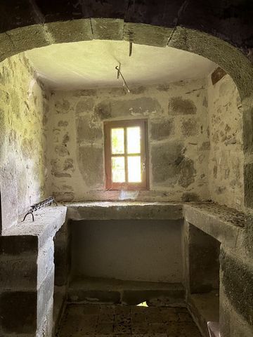 photo no. 14