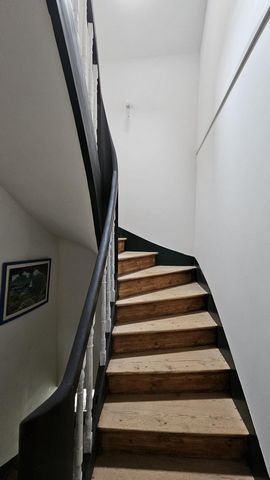 photo no. 15