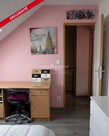 photo no. 10