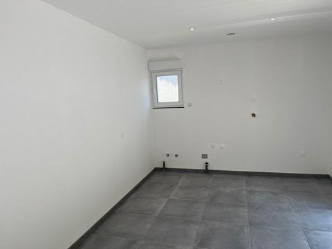 photo no. 5