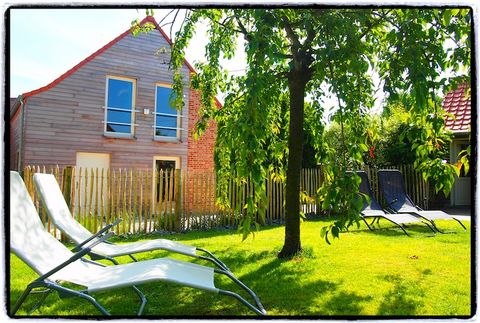 This spacious holiday home in Ellezelles, Hainaut, comfortably welcomes up to 7 guests, offering a perfect blend of relaxation and fun. The ground floor features a hallway, living room with a double sofa bed, TV, and DVD player, and an open kitchen e...