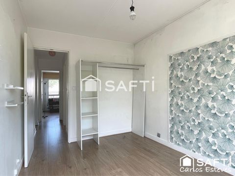 photo no. 12