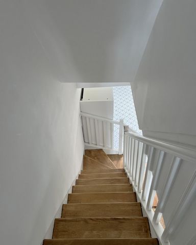 photo no. 6
