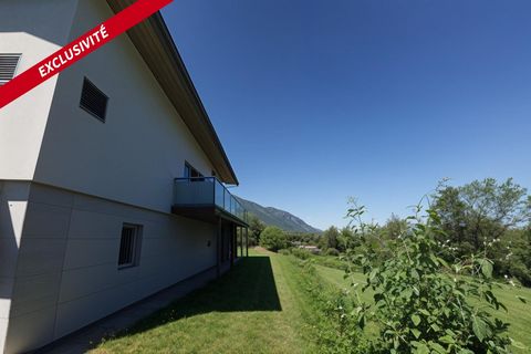 photo no. 11