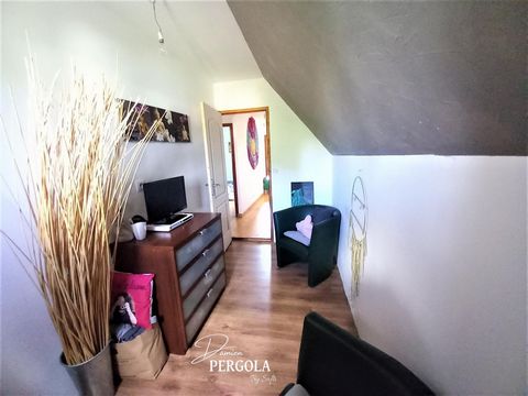 photo no. 11