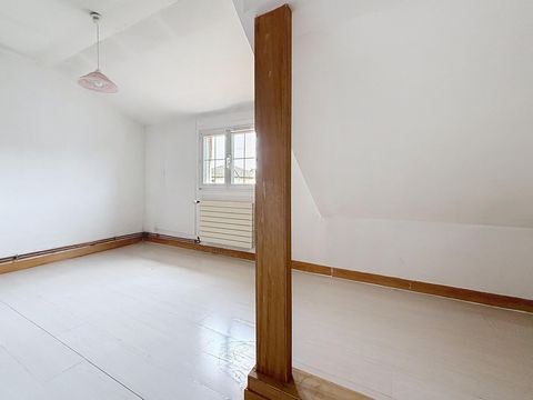 photo no. 11