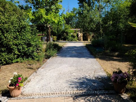 photo no. 3