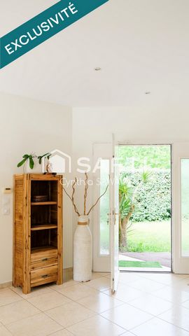 photo no. 12