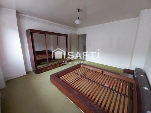 photo no. 11