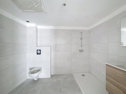 photo no. 5