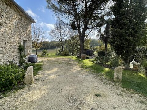 photo no. 1