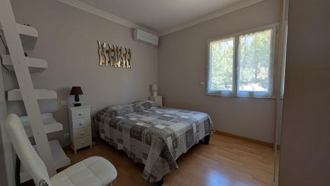 photo no. 6
