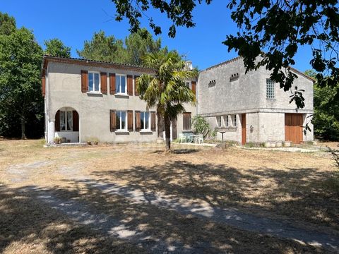 Maison contemporaine 6 pièces de 200 m² avec jardin arboré clos - Bussac Forêt (17)