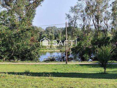 photo no. 4