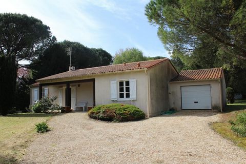 photo no. 2