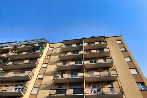 Je me souviens très bien du jour où je suis arrivée ici, attirée par une petite miette laissée sur cette terrasse. C'était l'hiver, et ce geste me semblait un véritable trésor. La fille qui habitait ici était gentille : chaque matin, elle me laissait...