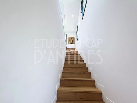 photo no. 6
