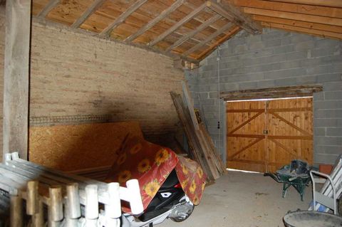 photo no. 23