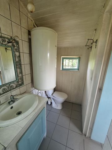 photo no. 17