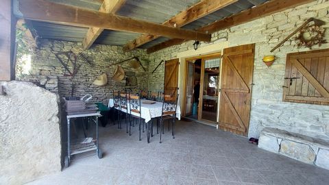 photo no. 11
