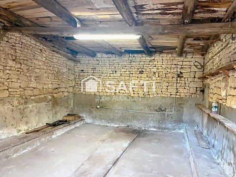 photo no. 15