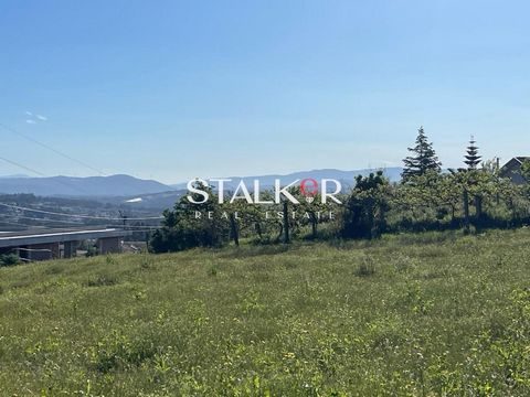 Terreno com 2.745 m², de configuração plana, com duas frentes, uma com 37 m2 e a outra com 39 m2, totalmente murado, proporcionando uma privacidade de excelência, e com instalação de furo de água exclusivo. Este é um excelente espaço para construir e...