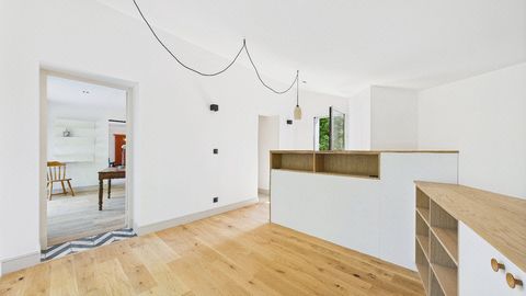 photo no. 7