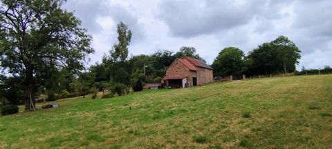 photo no. 16