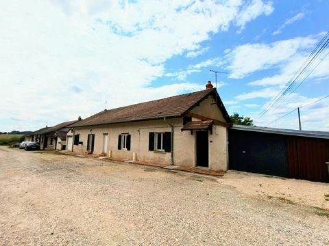 photo no. 13