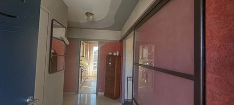 photo no. 4