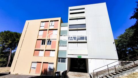 photo no. 6