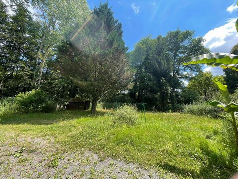 photo no. 14