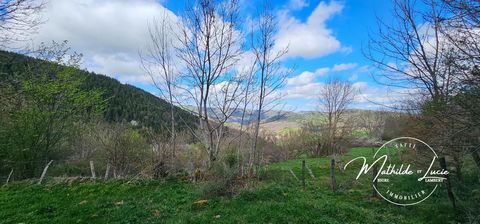 photo no. 11