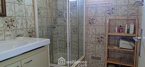 photo no. 19
