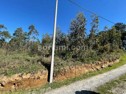 Urban land very close to the beach. Located in a residential area of expansion, the land has construction capacity for five houses. Close to all services, yet located in a quiet area. It also has the advantage of being very close to the Madalena beac...