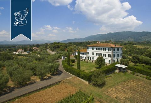 This stunning luxury villa with garden is up for sale and is located in the area around Lucca, in Tuscany. This villa has been well-kept over the years, since it has been refurbished completely in the early 18th century, while also preserving that pe...