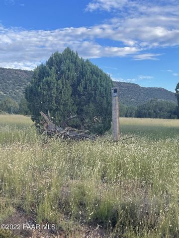 Tucked up against the mountains, this gorgeous treed 36-acre parcel just waiting for your new home. Septic for a 3-bedroom home, a water cistern and 40 foot Conex container are already in place. Elk, antelope, bobcat and more call this area home. Jus...