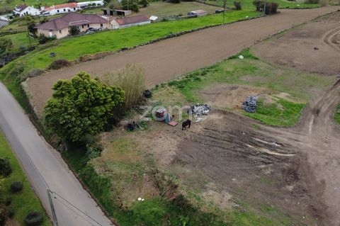 Identificação do imóvel: ZMPT554641 This building land located in the parish of Pedro Miguel, on Faial Island, has a total area of 652 square meters and a planned gross construction area of 260 square meters. It offers a unique opportunity to build a...