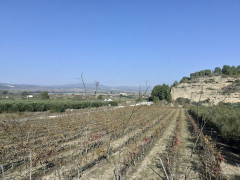 Irrigated farm of 26 hectares with very good access from the C12 1 km of Ginestar Magnificent views very fertile land ideal fruit or vegetables Partially planted with vineyards and olive trees Possibility of farmhouse