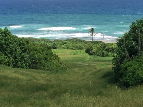 Excellent Plot of land for sale in St Andrew Barbados Esales Property ID: es5553905 Property Location Saint Andrew Barbados Price in US Dollars $12,000,000 Property Details Here we present an excellent plot of land in one of the most sought-after are...