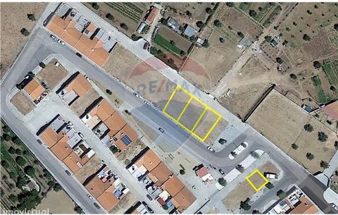 4 lots in urbanized land, as you can see in the photograph, with an unbeatable price. Feasibility of construction for 4 single-family homes similar to existing ones. Check the area and photo. I'm waiting for your contact.