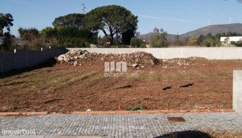 Lot with 430 m2 with approved project. Good location, with excellent sun exposure and good access. Ref.:VCM08513 ENTREPORTAS Founded in 2004, the ENTREPORTAS group with more than 15 years, is a leader in real estate mediation in the markets in which ...